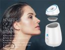 Facial Steamer