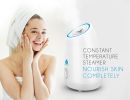 Facial Steamer